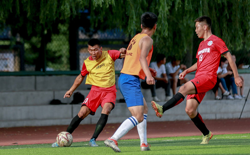 谁首发，谁落选？罗杰斯搅局，三狮世界杯十号位5人竞争上岗（首发归属与落选悬念并存：罗杰斯搅动格局，三狮世界杯10号位五人混战）