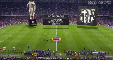 离奇，挪威女足球员药检呈阳性，污染源来自人造草坪的橡胶颗粒